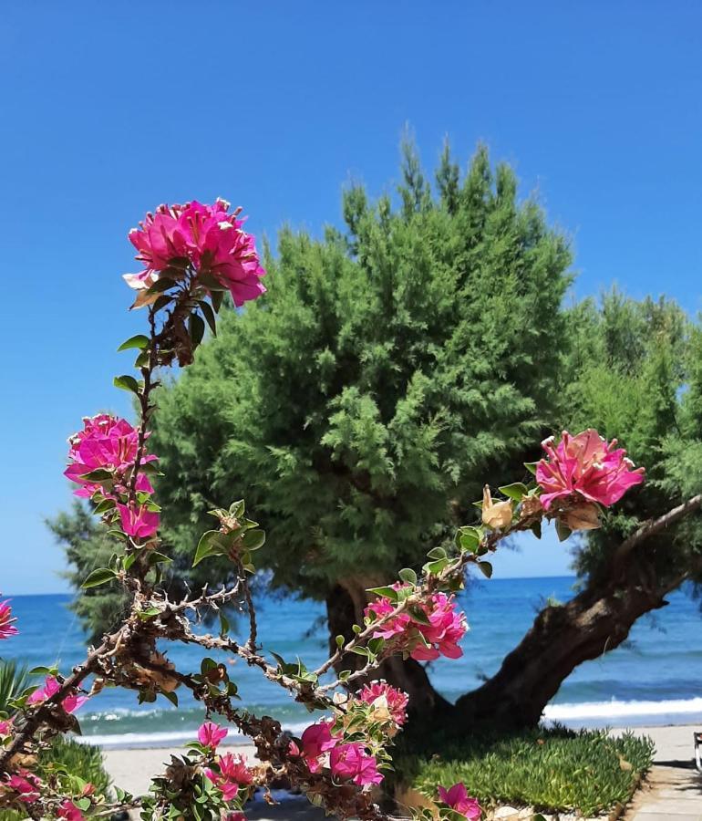 Erofili Aparthotel Aγία Μαρίνα Εξωτερικό φωτογραφία